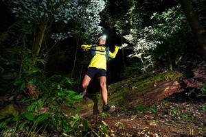 BIB: 
                            <button type="button" onclick="openModal(15973885)" class="btn btn-primary btn-sm float-right btn-popup" data-toggle="modal" data-target=".modal-high-quality">
                        <i class="fas fa-shopping-cart"></i> Add to Cart
                    </button>
                                            <button type="button" onclick="isThisMe(15973885, true)" class="btn btn-success btn-sm float-right btn-popup btn-isme hidden" data-toggle="tooltip" data-placement="bottom" title="นี่คือรูปของคุณใช่ไหม คลิกที่นี่เพื่อเอาเข้าอัลบั้ม">
                        <i class="fas fa-plus"></i> Add to album
                    </button>
                    <button type="button" onclick="isThisMe(15973885, false)" class="btn btn-warning btn-sm float-right btn-popup btn-isnotme hidden">
                        <i class="fas fa-ban"></i> Remove from album
                    </button>